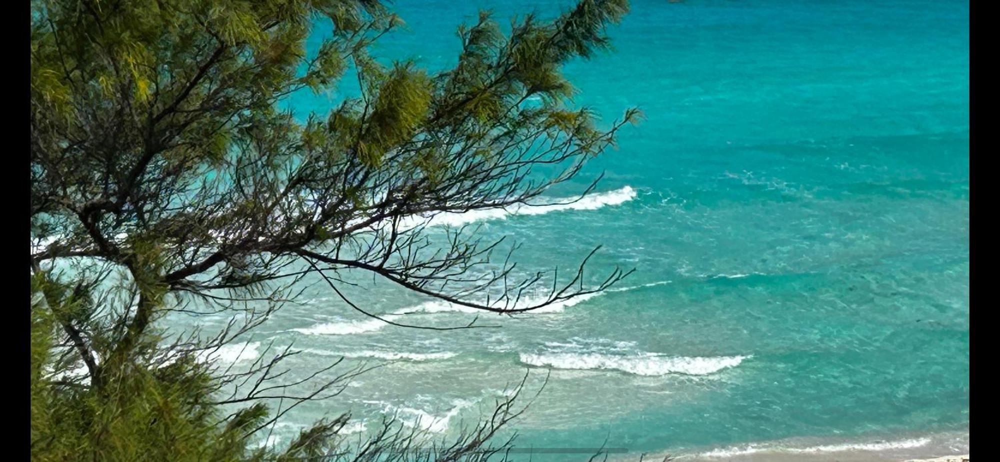 Solymar Condos On The Beach Cancun Ruang foto